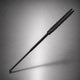Expandable Baton